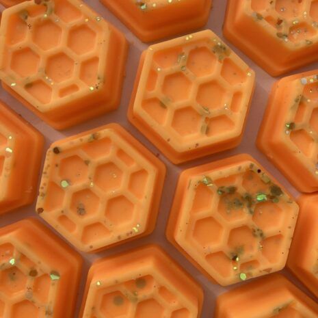 IMG_E3156-min IMG_E3156-min